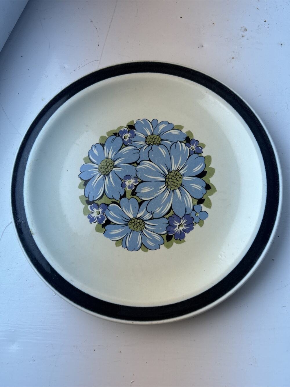 Vintage Designers Collection Blue Shasta Stoneware Dinner Plates Japan 10.5"